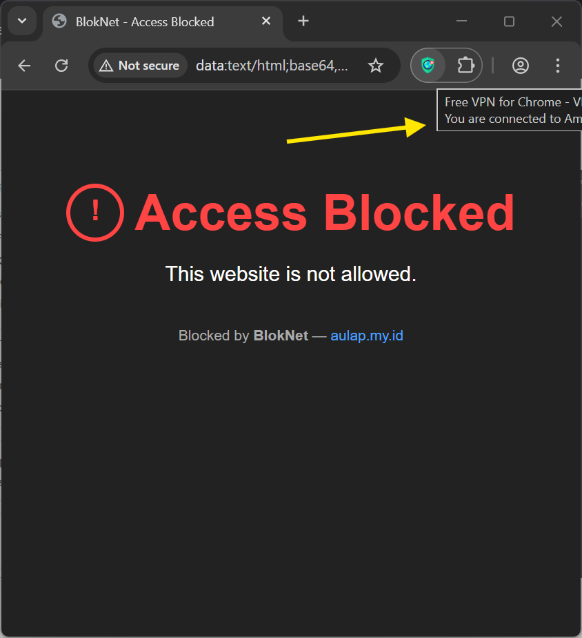 BlokNet Blocks VPN Site
